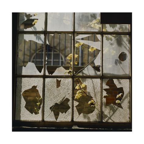 Giclee Print: Broken Window With Flowers Growing Art Print by Fay Godwin: 24x24in