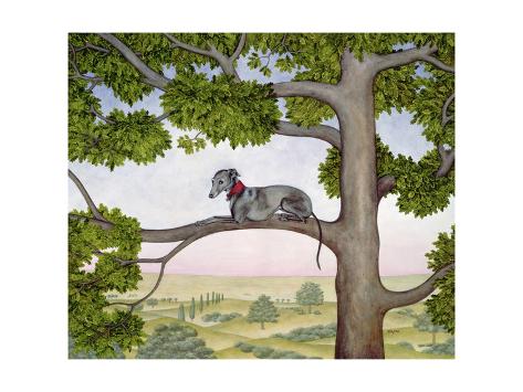 Giclee Print: The Tree Whippet Art Print by Ditz: 24x18in