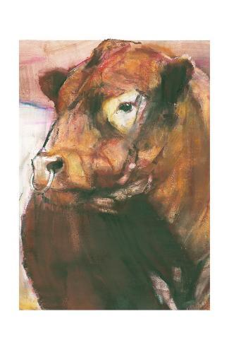 Giclee Print: Zeus, Red Belted Galloway Bull Wall Art by Mark Adlington: 24x16in