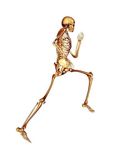 Photographic Print: Skeleton Running by PASIEKA: 24x18in