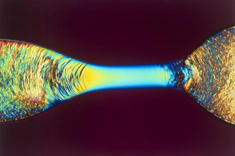 Photographic Print: PLM of Two Synthetic Liquid Crystal Polymer Fibres by Science Photo Library: 18x12in