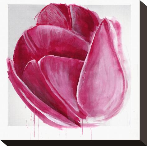 Stretched Canvas Print: Vivacious Tulip Bloom by Miranda York: 8x8in
