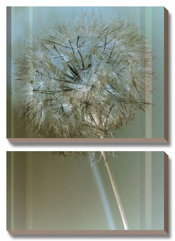 Canvas Art Set: Flaura I by W. Blake: 25x18in