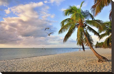 Stretched Canvas Print: Smathers Beach in the Morning, Florida Keys, Florida, USA: 15x22in