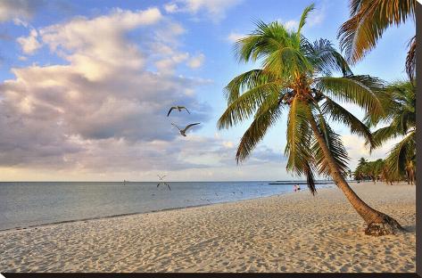 Stretched Canvas Print: Smathers Beach in the Morning, Florida Keys, Florida, USA: 24x37in