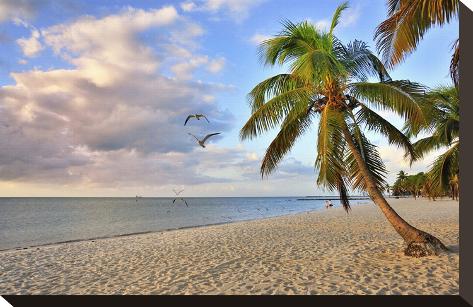 Stretched Canvas Print: Smathers Beach in the Morning, Florida Keys, Florida, USA: 10x15in