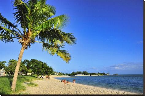 Stretched Canvas Print: Sombrero Beach in Marathon, Florida Keys, Florida, USA: 29x44in