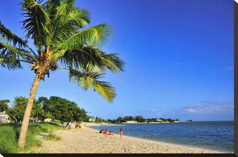 Stretched Canvas Print: Sombrero Beach in Marathon, Florida Keys, Florida, USA: 20x29in