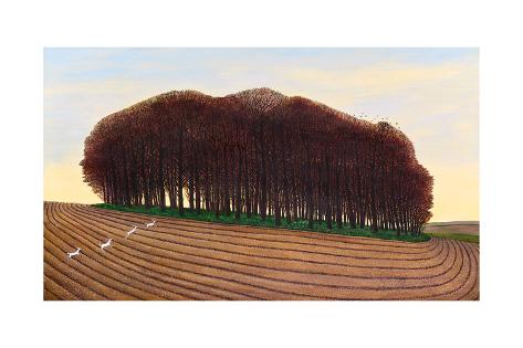 Giclee Print: Dorset Clump of Trees, 2012 by Liz Wright: 24x16in