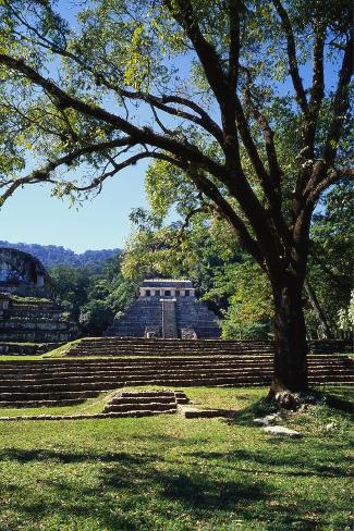 Photographic Print: Ancient Mayan Temple, Palenque, Chiapas, Mexico by Rob Cousins: 24x16in