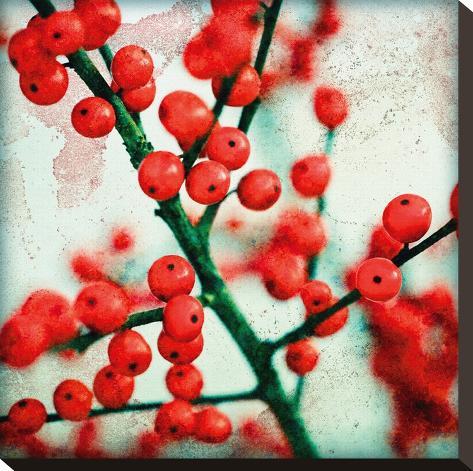 Stretched Canvas Print: Ilex I by James Guilliam: 16x16in