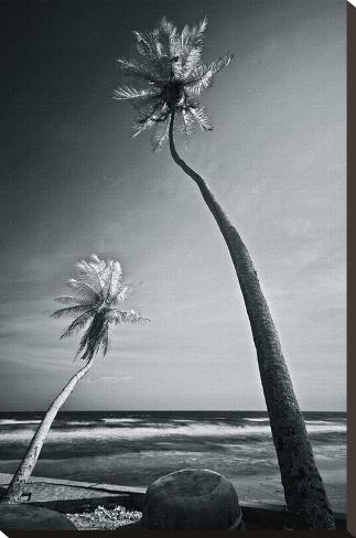 Stretched Canvas Print: Phan Thiet Seashore by Nhiem Hoang The: 30x20in