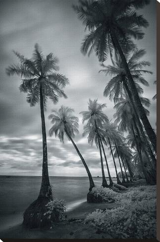 Stretched Canvas Print: Phu Quoc Bay by Nhiem Hoang The: 36x24in