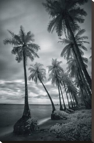 Stretched Canvas Print: Phu Quoc Bay by Nhiem Hoang The: 30x20in