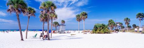 Photographic Print: Palm Trees on the Beach, Siesta Key, Gulf of Mexico, Florida, USA: 42x14in