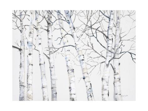 Art Print: Birch Grove 1 by Hope Smith: 16x12in
