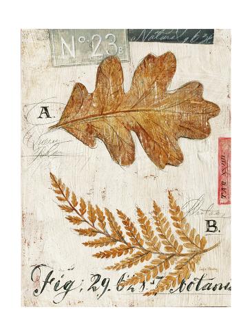 Art Print: Nature's Leaves by Angela Staehling: 24x18in