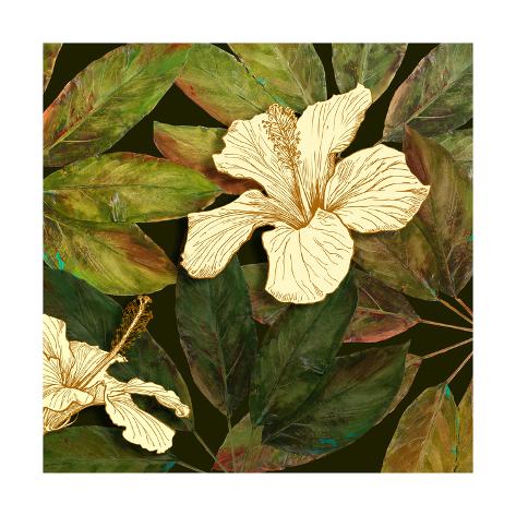 Premium Giclee Print: Hibiscus Leaves II by Patricia Pinto: 16x16in