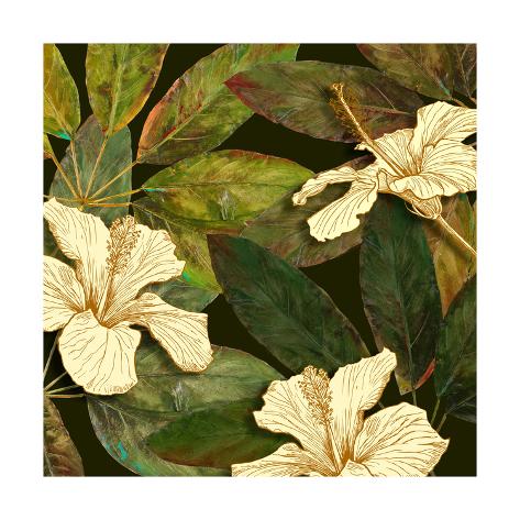 Premium Giclee Print: Hibiscus Leaves I by Patricia Pinto: 16x16in