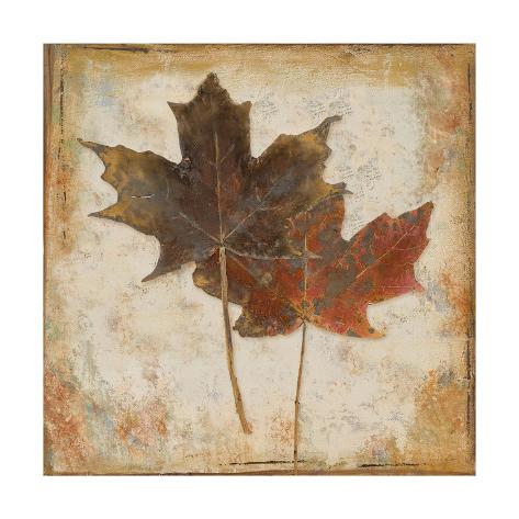 Premium Giclee Print: Natural Leaves IV by Patricia Pinto: 16x16in