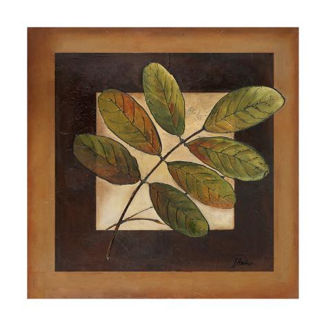 Premium Giclee Print: Leaves over Brown II by Patricia Pinto: 16x16in