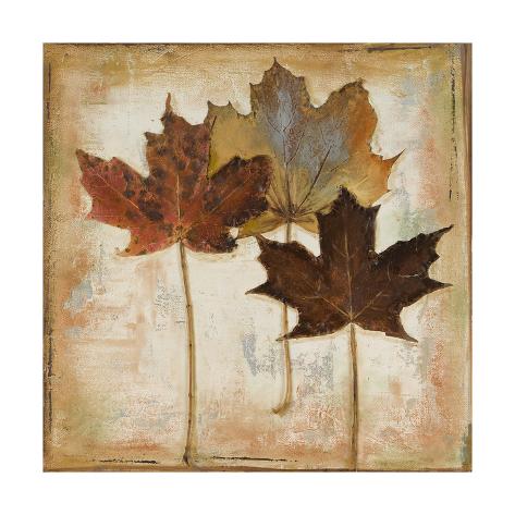 Premium Giclee Print: Natural Leaves III by Patricia Pinto: 16x16in