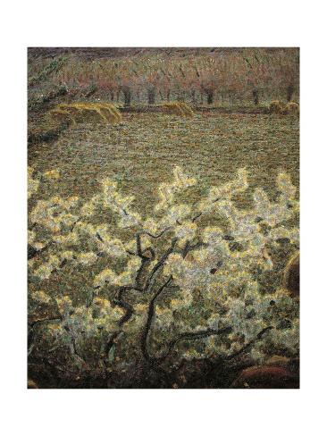 Giclee Print: Meadow with Flowers, 1900-1903 by Giuseppe Pelizza da volpedo: 24x18in