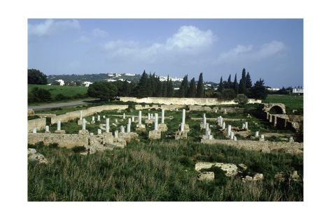 Giclee Print: Tunisia, Carthage, Archaeological Site, Paleo-Christian Basilica of Damous El Karita: 24x16in