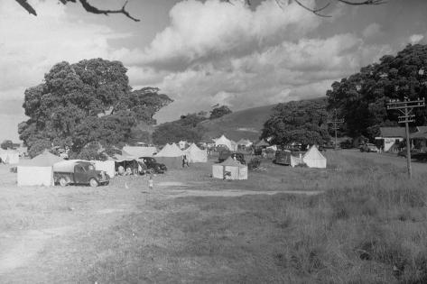 Photographic Print: Waipu Cove, C.1940-50: 24x16in