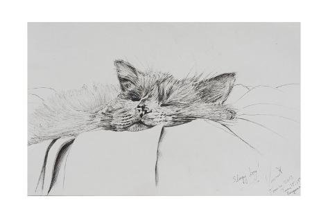 Photographic Print: Monty, Sleepy Boy by Vincent Alexander Booth: 18x12in