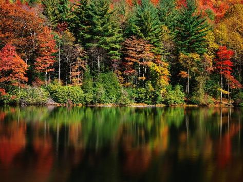 Photographic Print: Reflections on Lake Conasauga by James Randklev: 24x18in