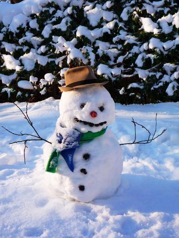 Photographic Print: Snowman with Scarf and Hat in Winter Scene: 24x18in