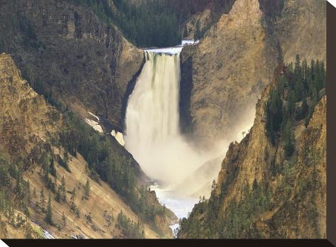Stretched Canvas Print: Lower Yellowstone Falls and Grand Canyon of Yellowstone National Park, Wyoming by Tim Fitzharris: 12x16in