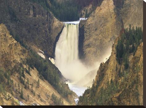 Stretched Canvas Print: Lower Yellowstone Falls and Grand Canyon of Yellowstone National Park, Wyoming by Tim Fitzharris: 18x24in