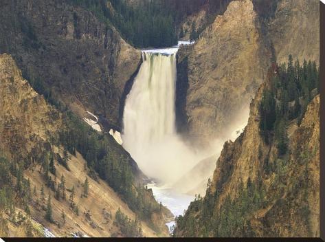 Stretched Canvas Print: Lower Yellowstone Falls and Grand Canyon of Yellowstone National Park, Wyoming by Tim Fitzharris: 24x32in