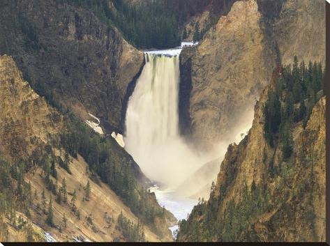 Stretched Canvas Print: Lower Yellowstone Falls and Grand Canyon of Yellowstone National Park, Wyoming by Tim Fitzharris: 30x40in