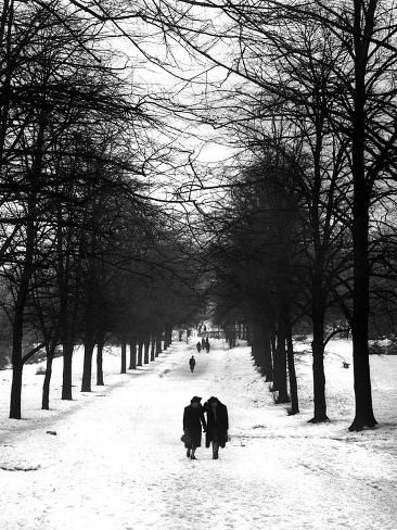 Photographic Print: Hampstead Heath 1939 by Fred Musto: 24x18in