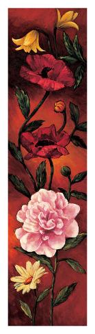 Giclee Print: The Flower Garden III by Brian Francis: 42x12in