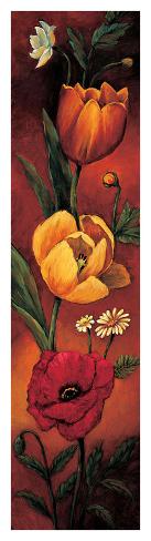 Giclee Print: The Flower Garden II by Brian Francis: 50x14in