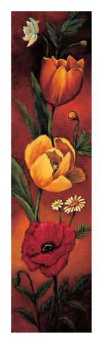 Giclee Print: The Flower Garden II by Brian Francis: 60x18in