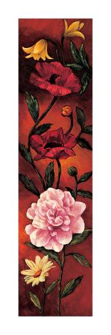 Giclee Print: The Flower Garden III by Brian Francis: 36x12in