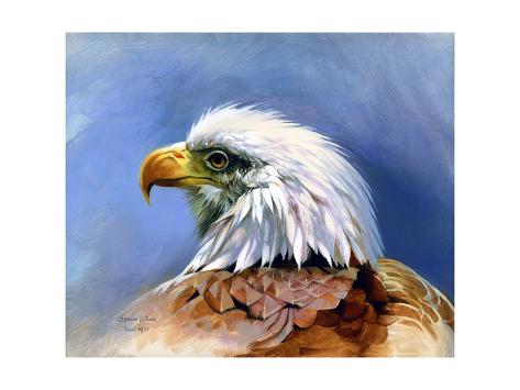 Giclee Print: Eagle Portrait by Spencer Williams: 24x18in