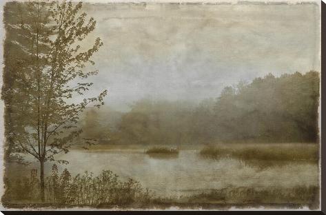 Stretched Canvas Print: Daybreak II by Madeleine Clark: 24x36in