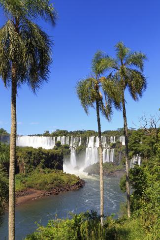 Photographic Print: Argentina, Iguazu Falls National Park, (Unesco Site) by Michele Falzone: 24x16in