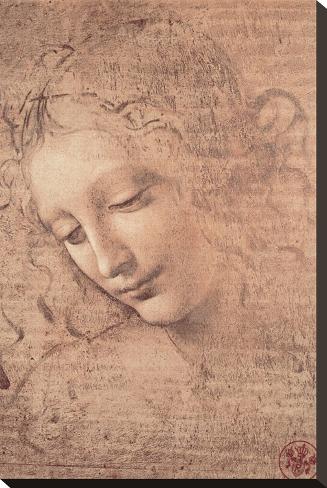 Stretched Canvas Print: Female Head (La Scapigliata), c.1508 by Leonardo da Vinci: 22x15in