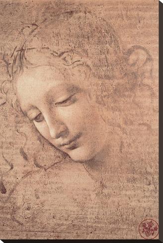 Stretched Canvas Print: Female Head (La Scapigliata), c.1508 by Leonardo da Vinci: 29x20in