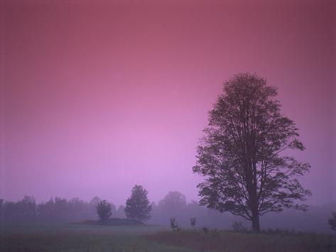 Photographic Print: Evening Fields by PhotoINC: 24x18in