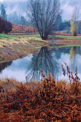 Photographic Print: Autumn Pond Reflections, Calistoga Napa Valley by Vincent James: 24x16in