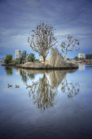 Photographic Print: Morning Reflections at Lake Merritt, Oakland California by Vincent James: 24x16in