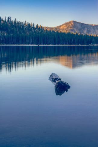 Photographic Print: Peaceful Reflections at Tenaya Lake, Yosemite California by Vincent James: 24x16in